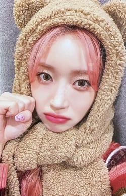 Teddy Bear WITHMUU 2