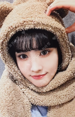 Teddy Bear WITHMUU 2