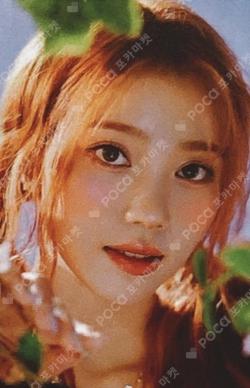 Kep1er JAPAN FAN MEETING "Fairy Fantasia" RANDOM PHOTOCARD XIAOTING photocard image