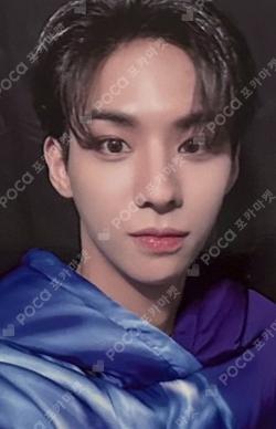 Into The Tempest EVERLINE