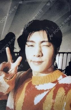 CeCi BEGIN AGAIN PRE-ORDER ONLY