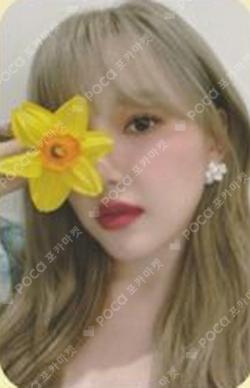ARIA JUMP UP YERIN photocard image