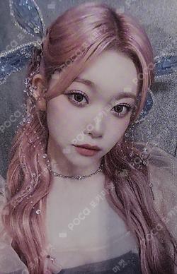 Knock-on Effect Member Standard ver.