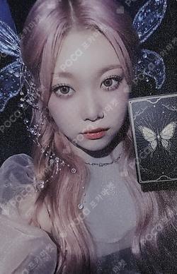 Knock-on Effect Member Solo ver.