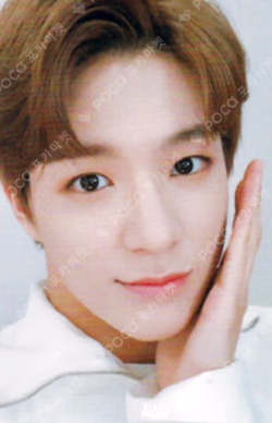 NCT DREAM SHOW #2 CARD WALLET + PHOTOCARD SET
