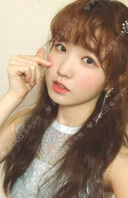 Pocamarket, IZ*ONE HONDA HITOMI Secret Time K-pop Photocard