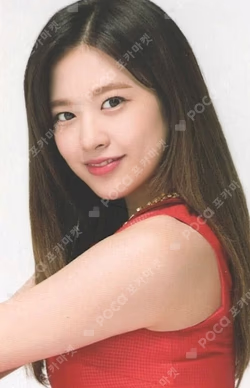Twelve Random Photocard