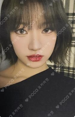 Knock-on Effect VICTOR SIYOON photocard image