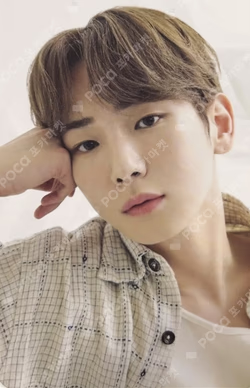 2024 SEASON'S GREETINGS RANDOM TRADING CARD