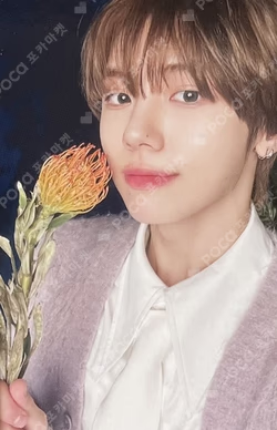 EVERSHINE STARSHIPSQUARE