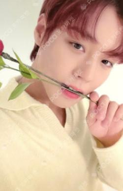 PARK JIHOON 2022 CONCERT [CLUE] TIN CASE PHOTOCARD SET
