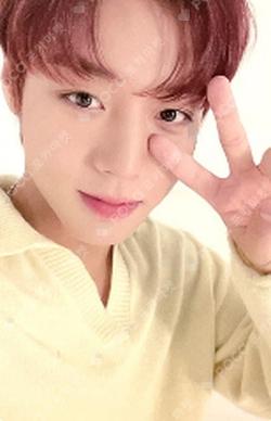 PARK JIHOON 2022 CONCERT [CLUE] TIN CASE PHOTOCARD SET