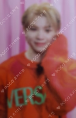 DICON D'FESTA MINI EDITION : SEVENTEEN