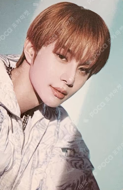 THE GREAT UNITY MEMORIAL ALBUM (POCAALBUM)