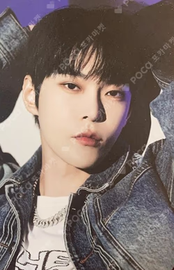 THE GREAT UNITY MEMORIAL ALBUM (POCAALBUM)