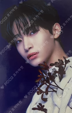 EVERSHINE STARSHIPSQUARE