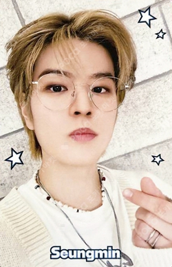 Pocamarket, Stray Kids SEUNGMIN Stray Kids Fan Connecting 2024 SKZ