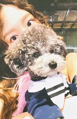 Something New TAEYEON photocard image