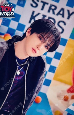 Pocamarket, Stray Kids CHANGBIN Stray Kids Fan Connecting 2024 SKZ