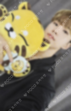 Pocamarket, Seventeen HOSHI Artist-Made Collection by SEVENTEEN