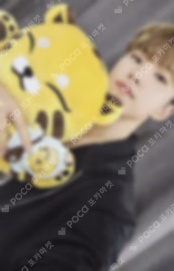 Artist-Made Collection by SEVENTEEN Season 2. PLUSH TOY