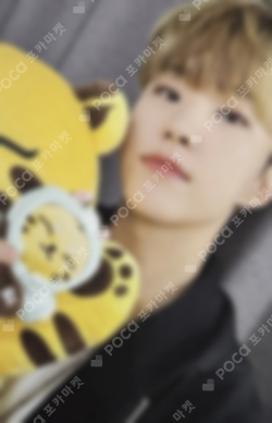 Pocamarket, Seventeen HOSHI Artist-Made Collection by SEVENTEEN