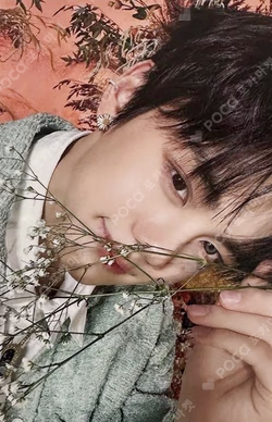 YURA YURA Limited Edition A