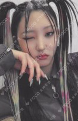 Rose Blossom B ver.