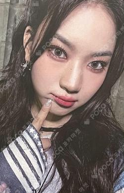 LIT TRADING CARD CASE ISA photocard image