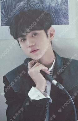 2024 SEASON'S GREETINGS CALENDAR TRADING CARD YANG YO SEOP photocard image