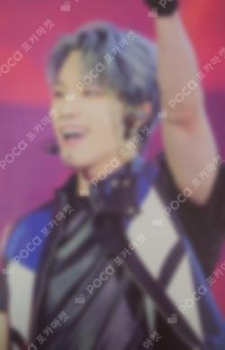 SEVENTEEN EXHIBITION FOLLOW FELLOW RANDOM PHOTOCARD DINO photocard image