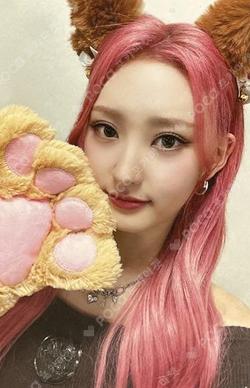 Seoul Dreaming MAKESTAR