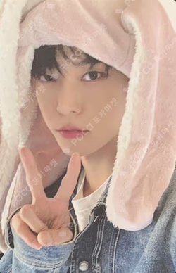 THE GREAT UNITY PHOTO CARD SET D ver.