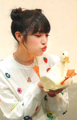 Pocamarket, YENA YENA animal detective yena kit K-pop Photocard