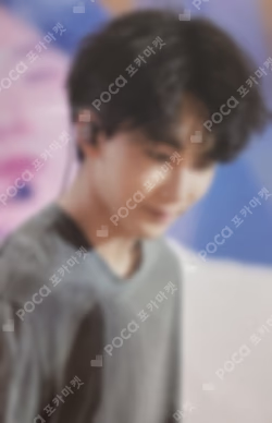 SEVENTEEN EXHIBITION FOLLOW FELLOW RANDOM PHOTOCARD