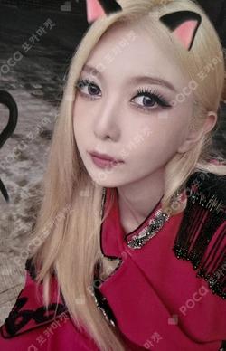 Apocalypse : Follow us MYMUSICTASTE DAMI photocard image