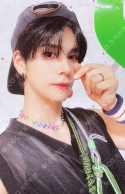SUN SEEKER CATCHER VER.