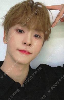 NEW CHAPTER : LUCEAT EVERLINE