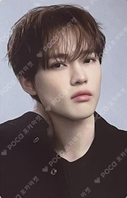 DREAM( )SCAPE ZONE RANDOM TRADING CARD SET DREAM ver.