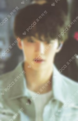 SEVENTEEN EXHIBITION FOLLOW FELLOW RANDOM PHOTOCARD