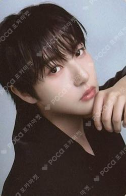 DREAM( )SCAPE ZONE RANDOM TRADING CARD SET DREAM ver.