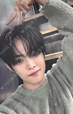 NEW CHAPTER : LUCEAT MUSICART