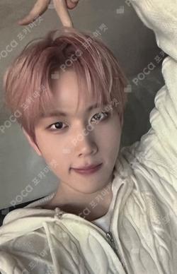 NEW CHAPTER : LUCEAT MUSICART YOUNGSEO photocard image