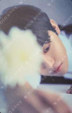 DREAM( )SCAPE QR Ver.