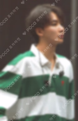 SEVENTEEN EXHIBITION FOLLOW FELLOW PHOTOCARD SET