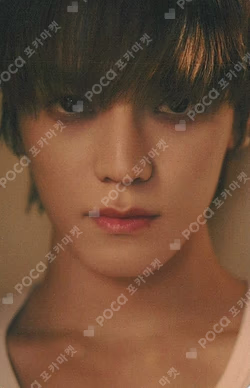 TAP YPBOOKS TAEYONG photocard image