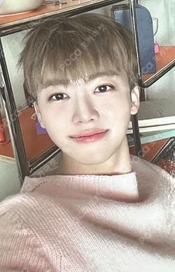 DREAM( )SCAPE ZONE RANDOM TRADING CARD SET ( )SCAPE ver.