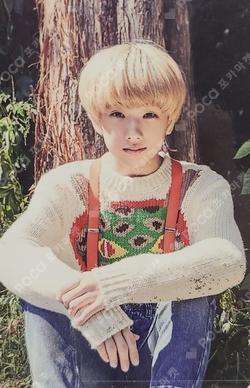 NEO CULTURE TECHNOLOGY 2017 SEASON'S GREETINGS JISUNG photocard image