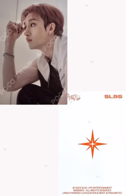 SLBS Stray Kids Edition for Galaxy S24 Ultra