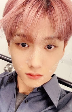 THE DREAM SHOW FORTUNE CARD